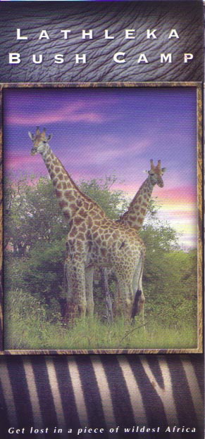 lbrochure.jpg